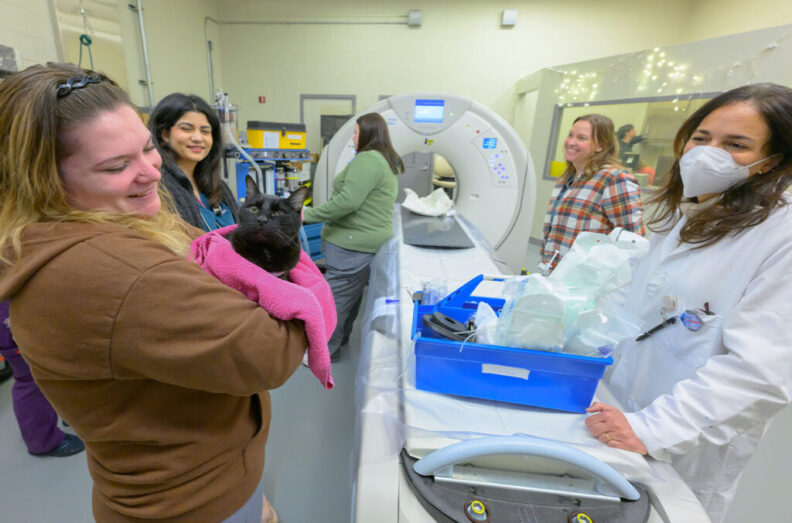 Tux the cat waits to be the first patient to be imaged using the brand new CT scanner at the Veterinary Teaching Hospital in Washington State University's College of Veterinary Medicine, on Tuesday, Jan. 20, 2026, in Pullman. Tux, who is owned by the Crouch family of Spokane, was having some tumors in his abdomen investigated (College of Veterinary Medicine/Ted S. Warren).