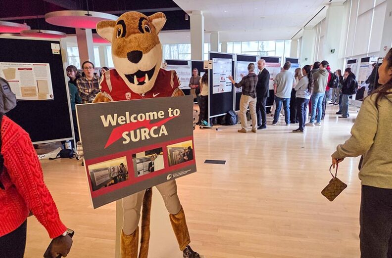 Cut out of Butch T. Cougar welcoming people to the CUB Senior Ballroom for SURCA