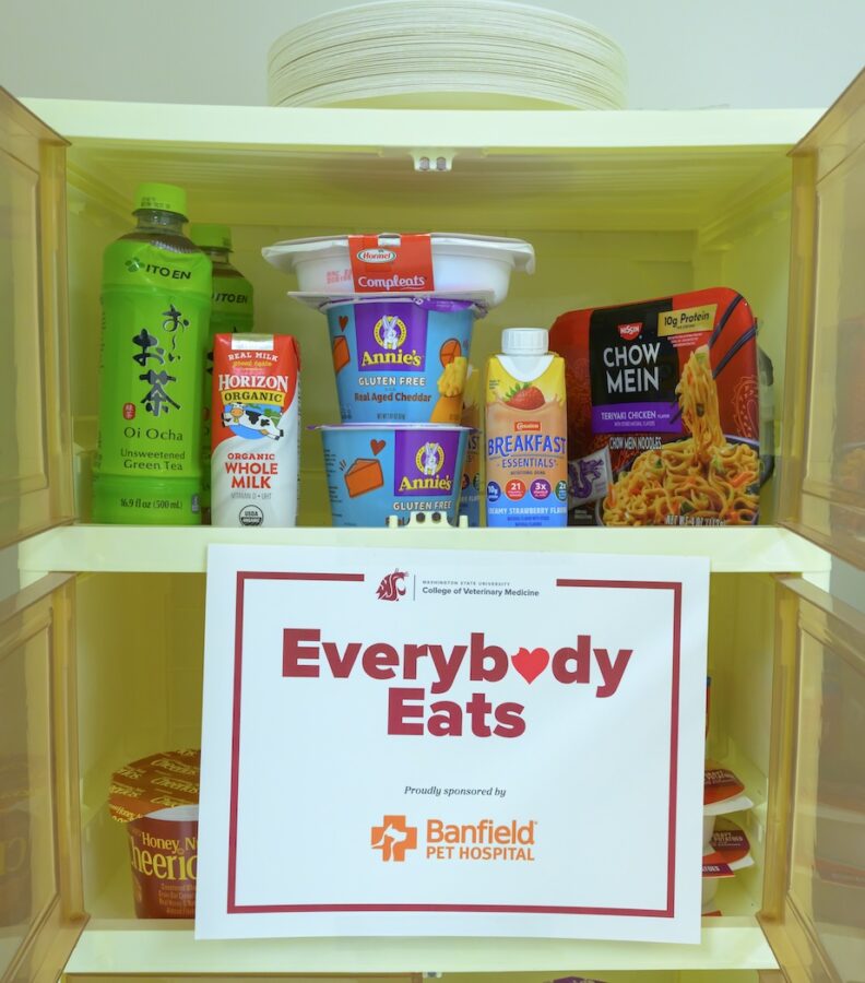 Everybody Eats basket of healthy snacks