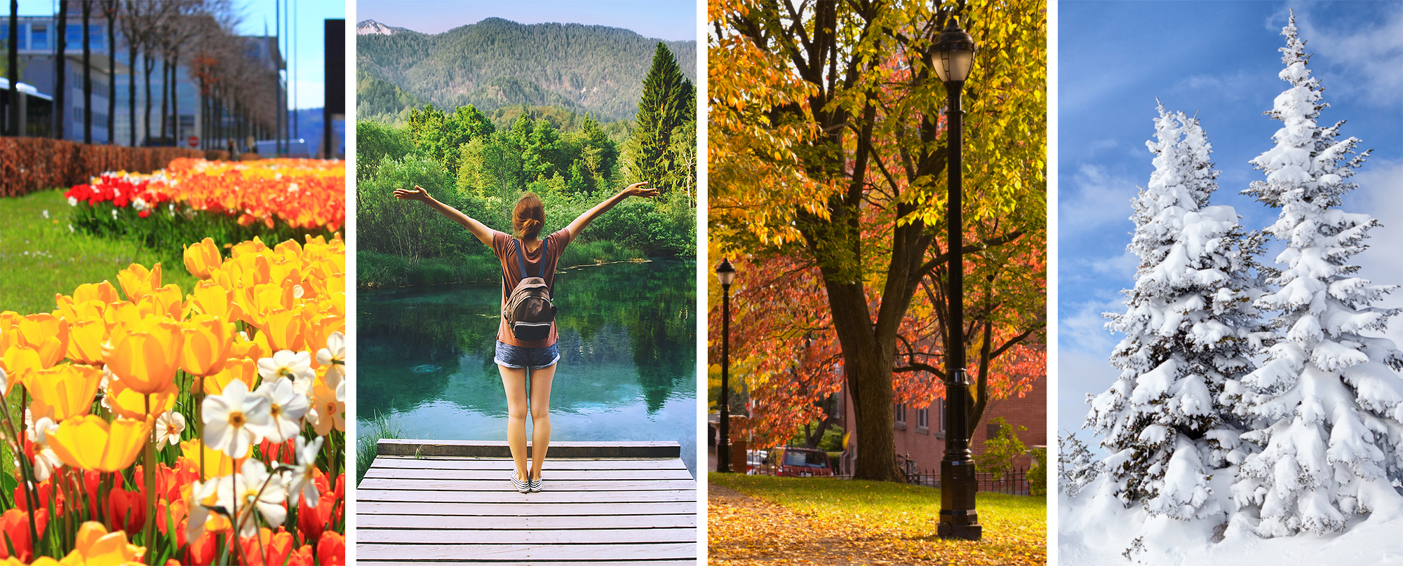 A panel of four photos: Spring: Closeup of red and yellow tulips; Summer: Back view of person standing on a dock in a lake, with green trees and mountains in the background; Autumn: Orange and yellow leaves on the trees and coating the ground; Winter; Pine trees covered in snow.