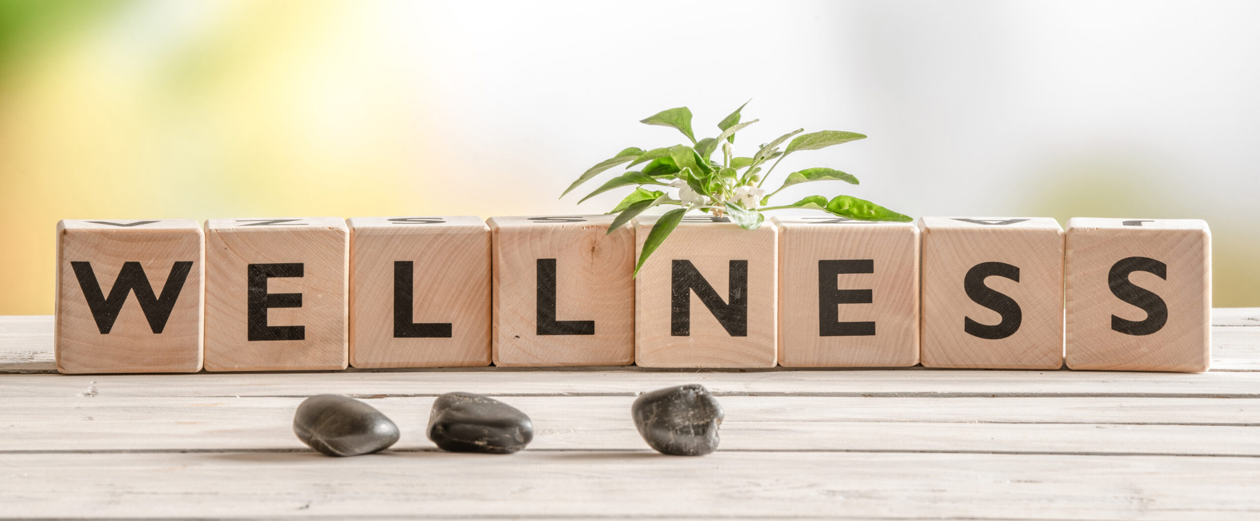 Wellness sign with wooden cubes and flowers and stones