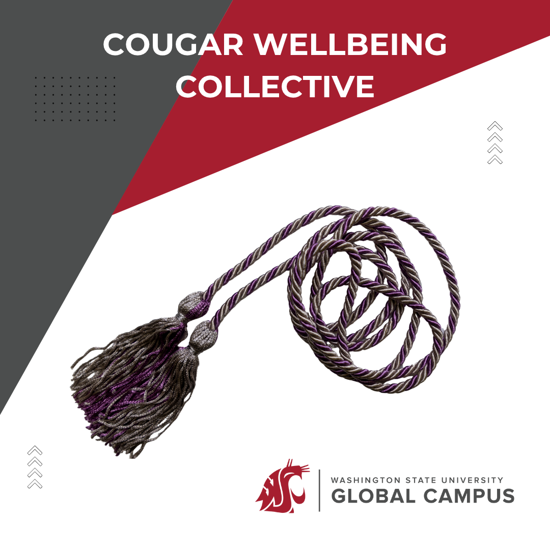 Silver and purple graduation cord