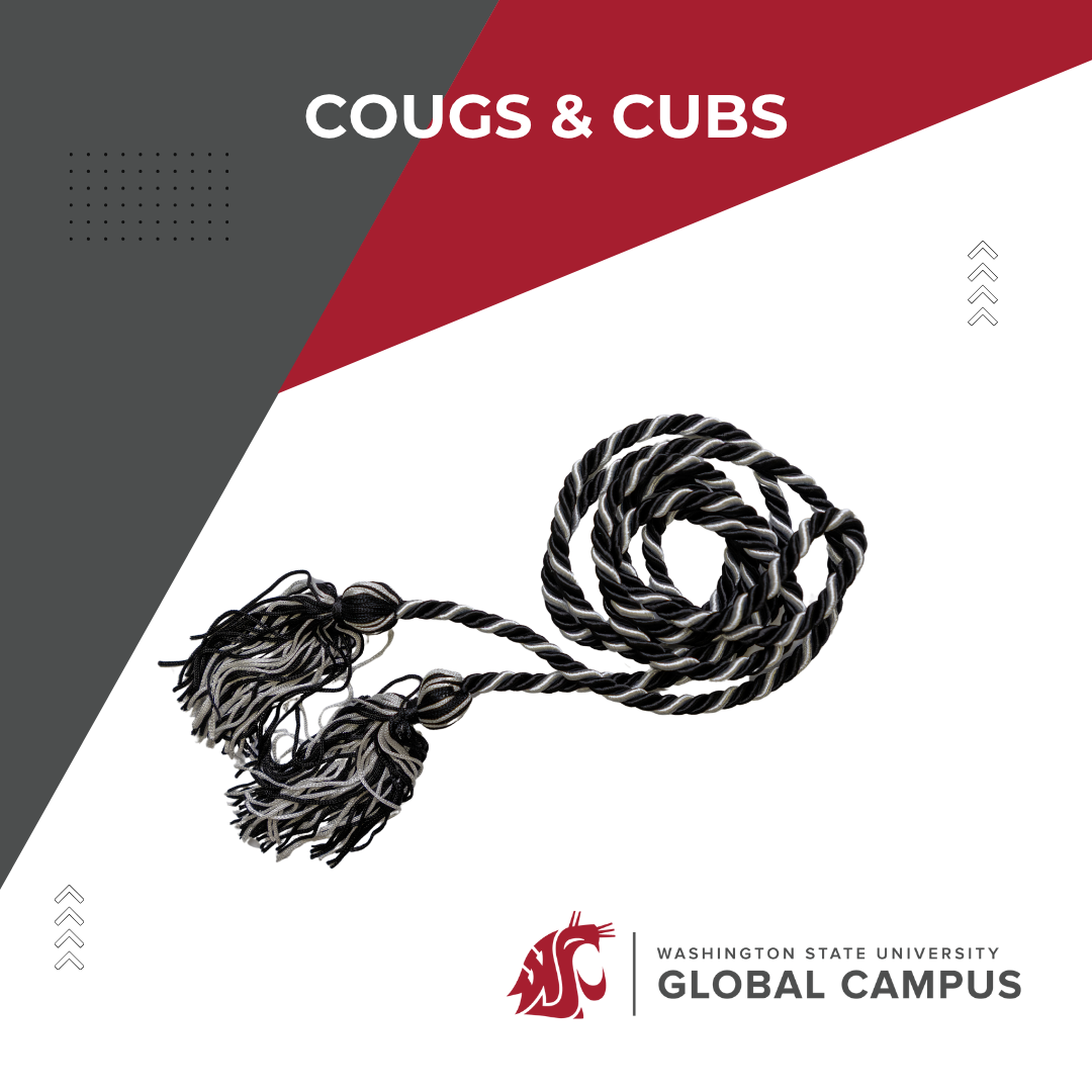 Black and silver graduation cord