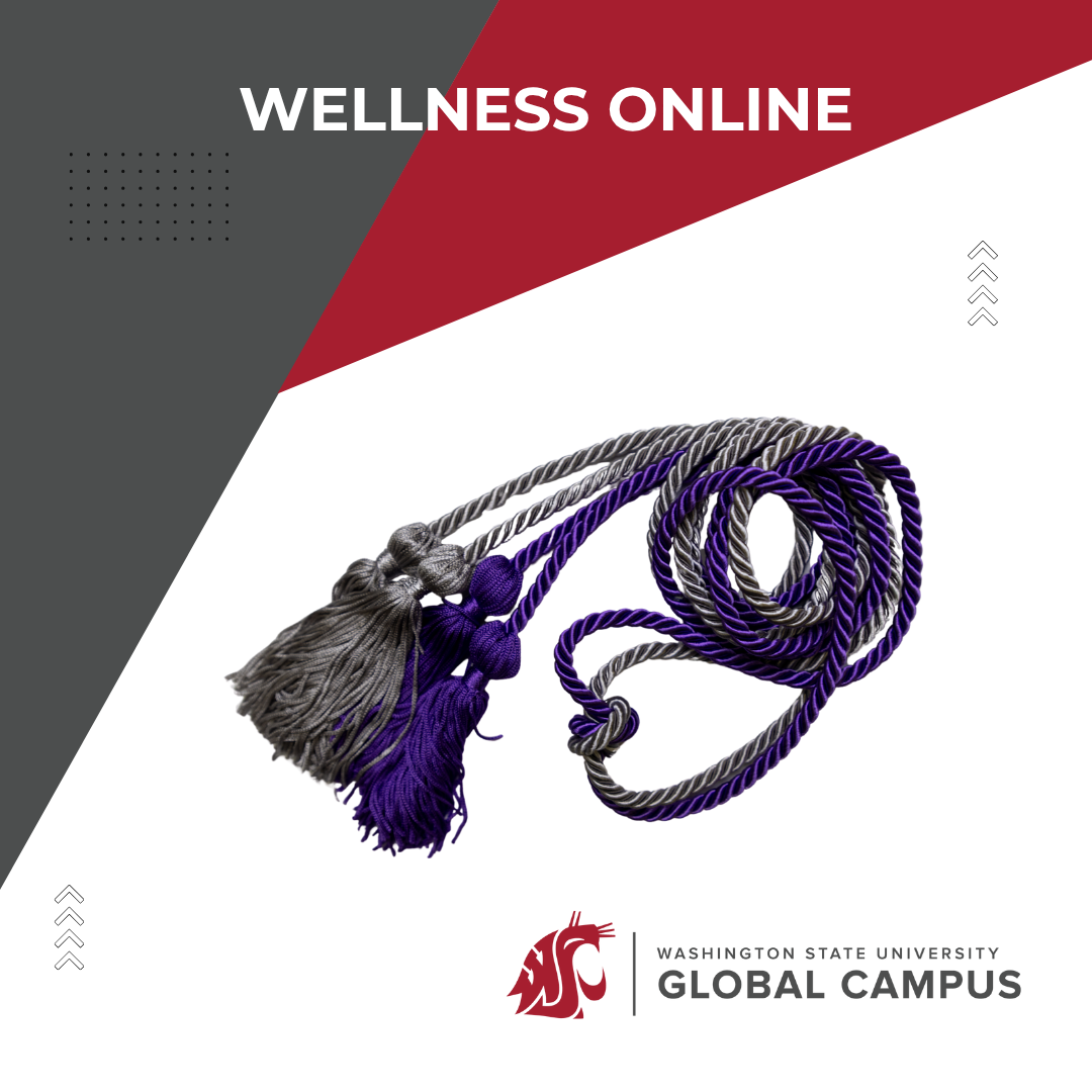 Two separate purple and silver graduation cords 