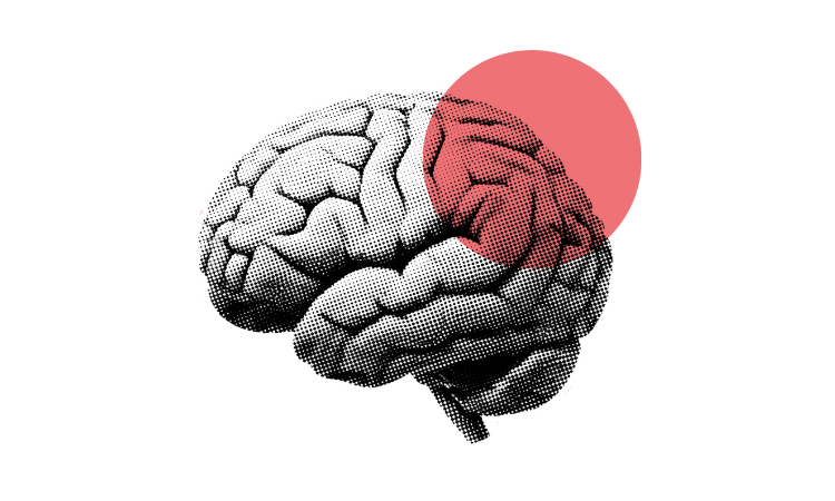 Illustration of a brain with a red circle highlighting the frontal region, symbolizing focus and mindfulness.