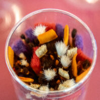 Untold Stories Event paintbrushes