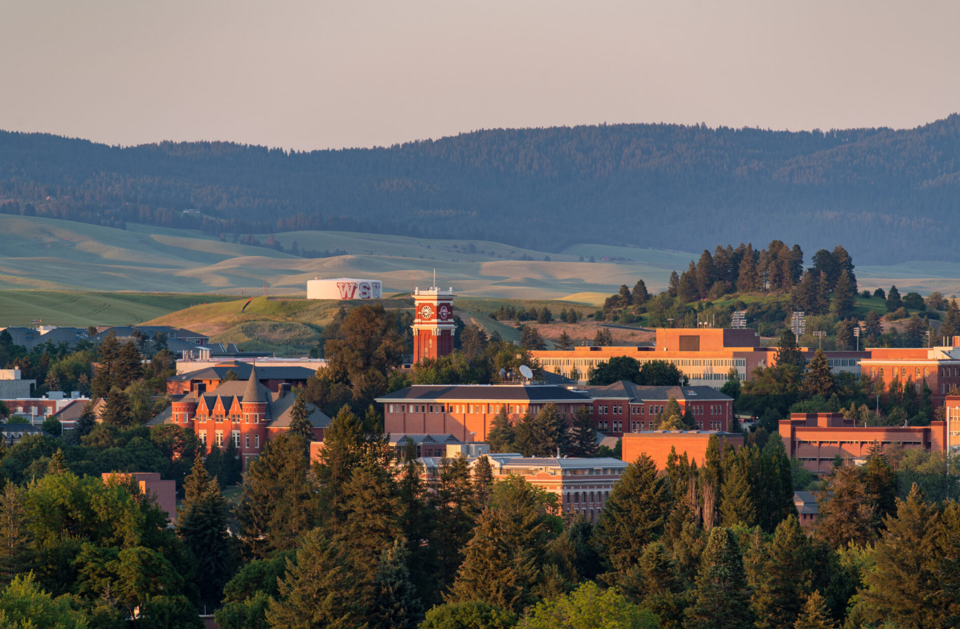 Picture of the WSU Pullman Campus