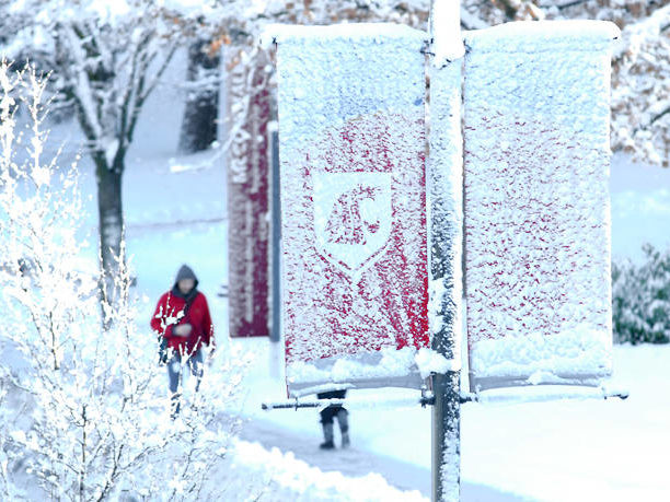 A person in a red coat walking down a snowy sidewalk with a WSU banner hanging from a lamp post in the foreground, covered in snow.