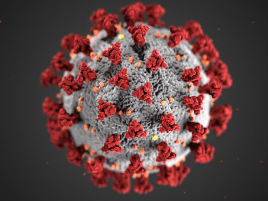 Graphical representation of the 2019 novel coronavirus morphology.