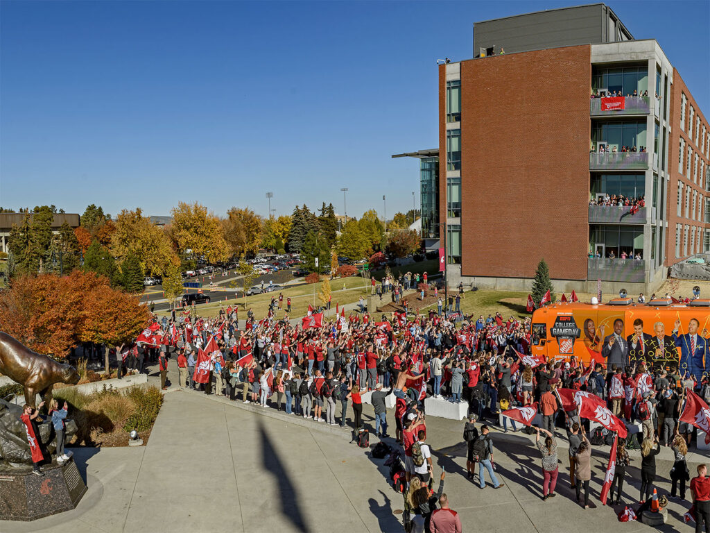A crowd of football fans.