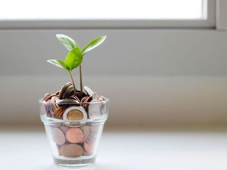 Glass of coins with a plant