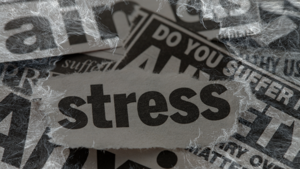 Torn pieces of paper with words, stress on the top