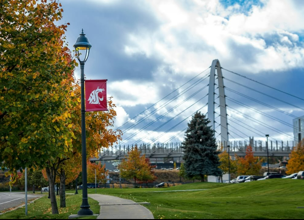 An image of WSU Spokane's Campus