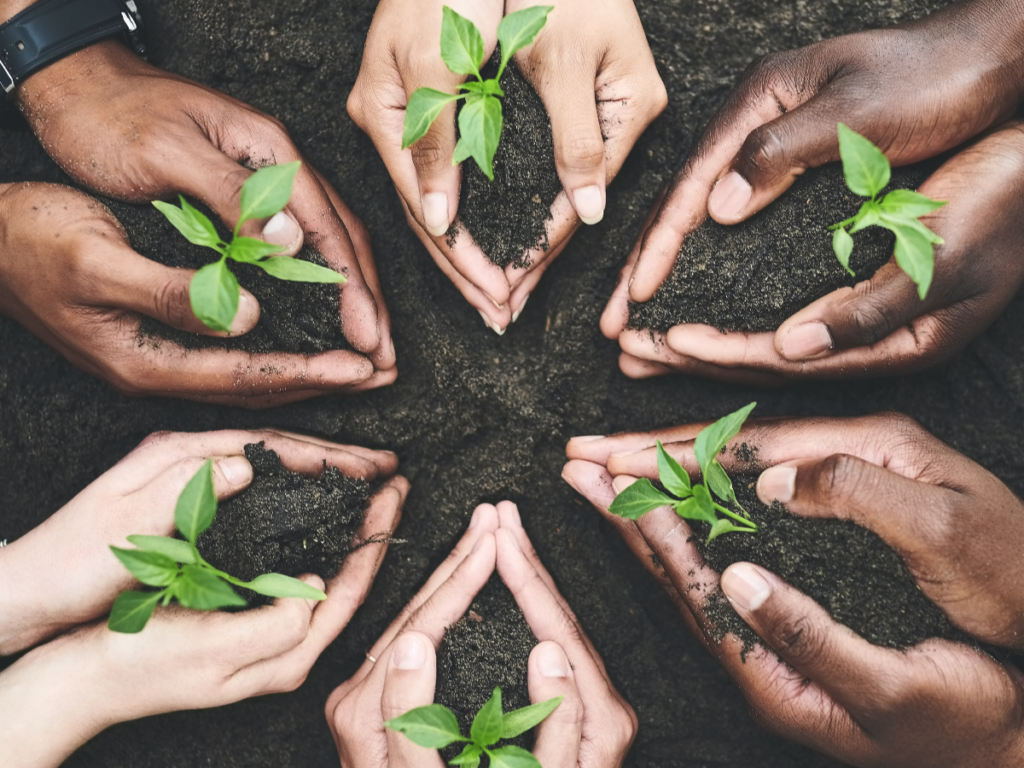 Hands in a circle holding plant seedlings in dirt