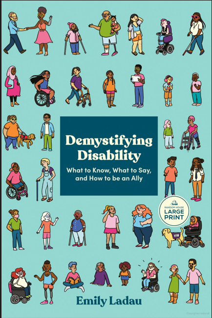 The Book Demystifying Disability