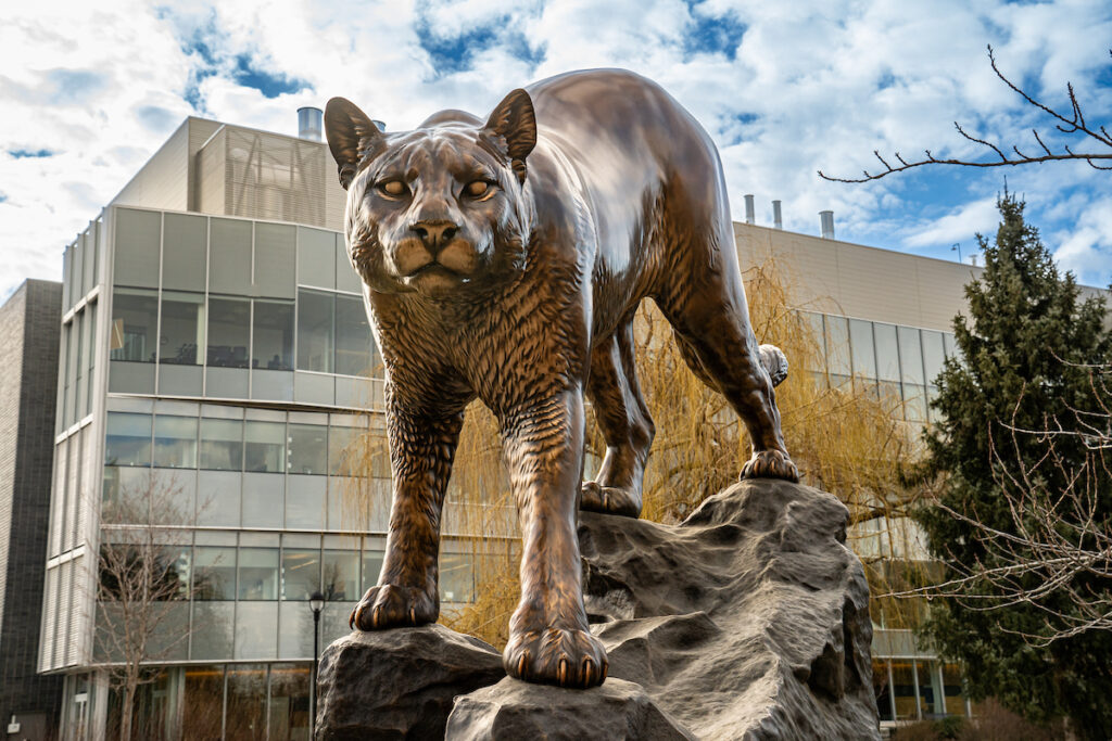 Bronze Coug statue with university building in the background.