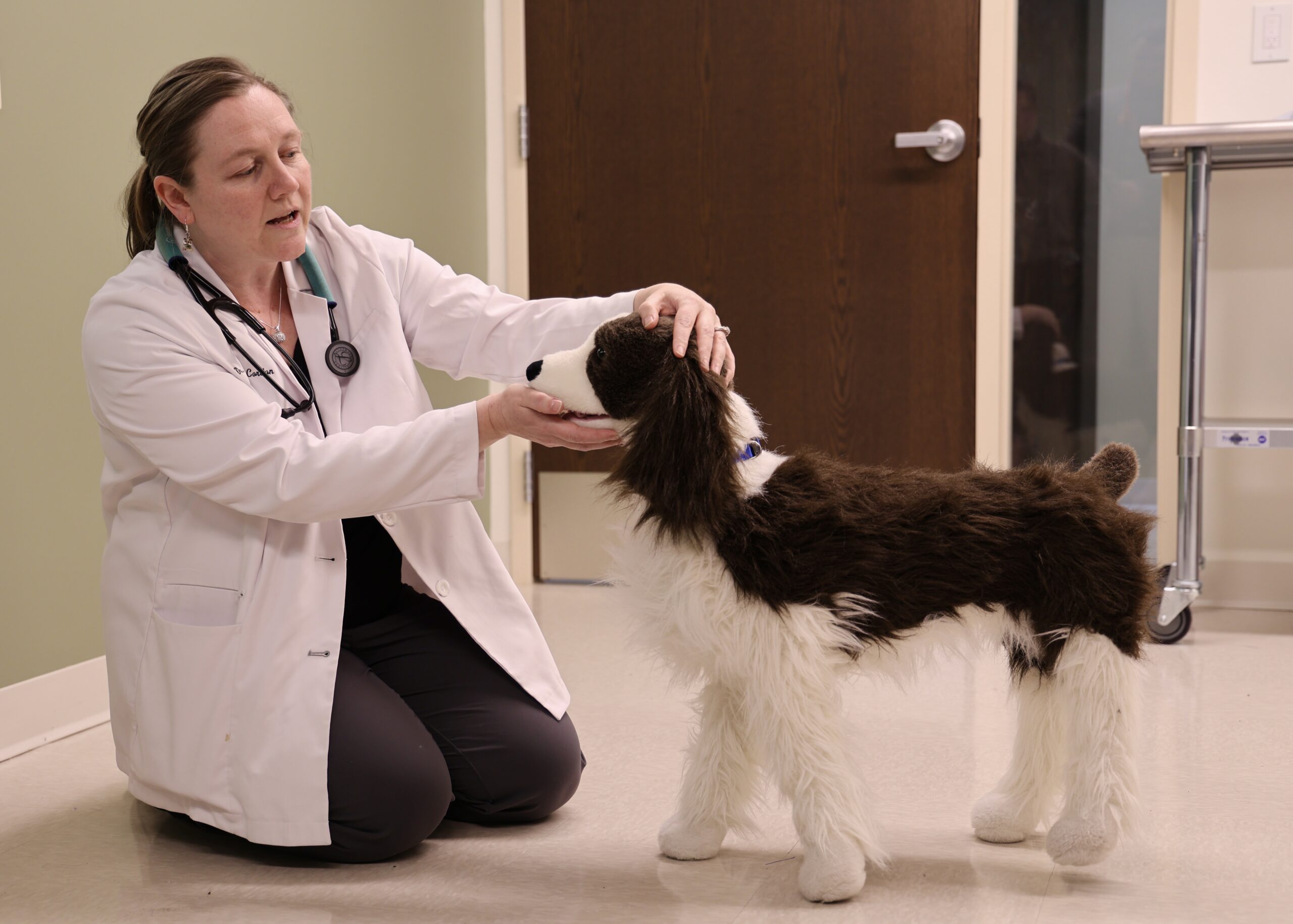 Dr. Cordon kneeling on the floor and looking into a stuffed dog's mouth.