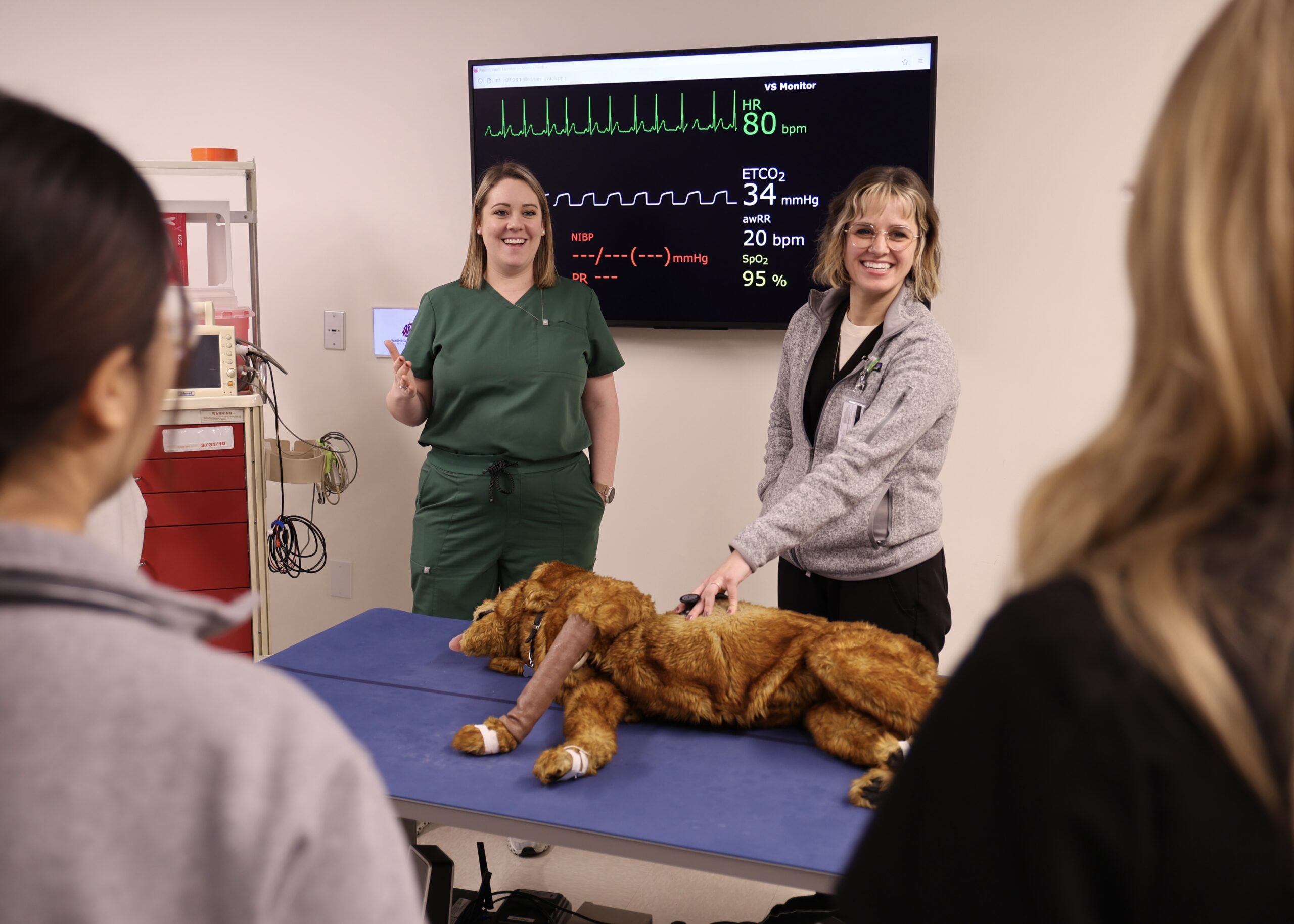 Dr. Bradley and Dr. Schlamp standing over a stuffed dog that is lying on an exam table.