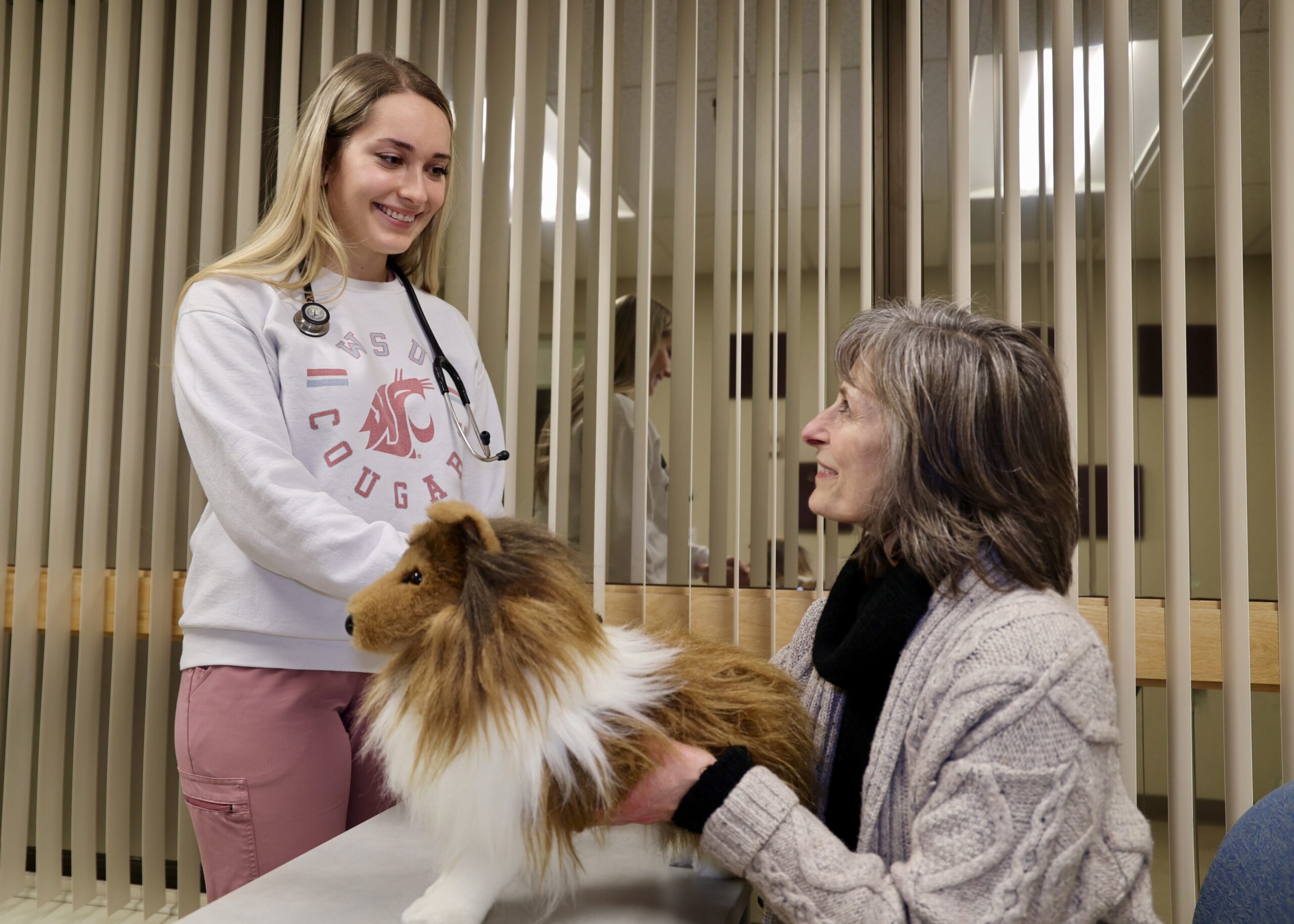 Student dialoging with simulated pet owner who has small collie on the table in between them