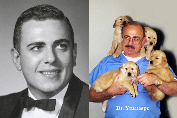 Left, Daniel as a DVM student, right as a doctor and holding four golden retriever puppies.