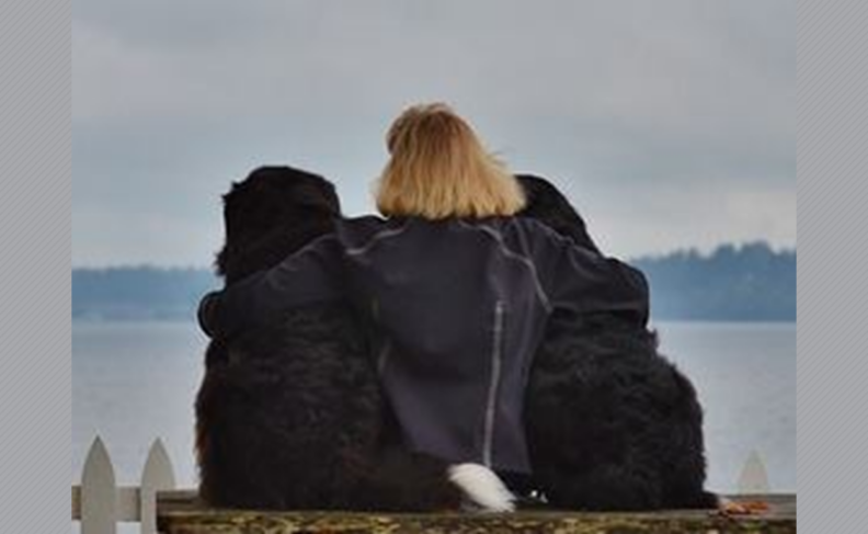 Photo of two black dogs and a woman from the back.