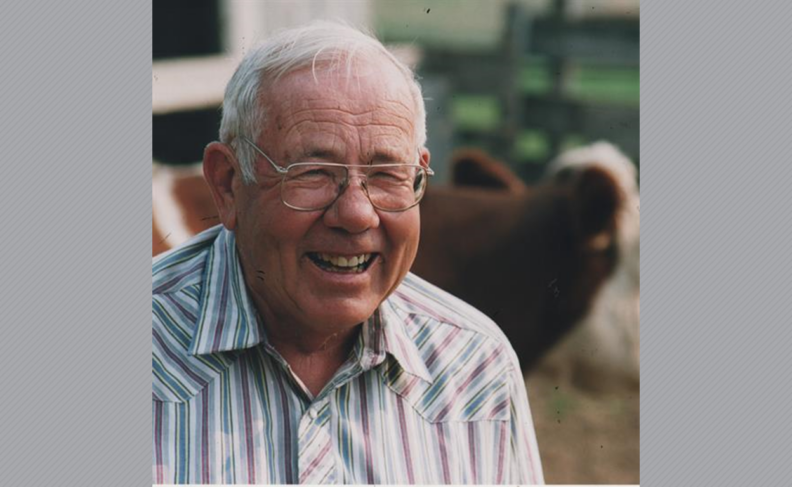 Bernard Thurlow in glasses and striped shirt, standing in front of cattle.