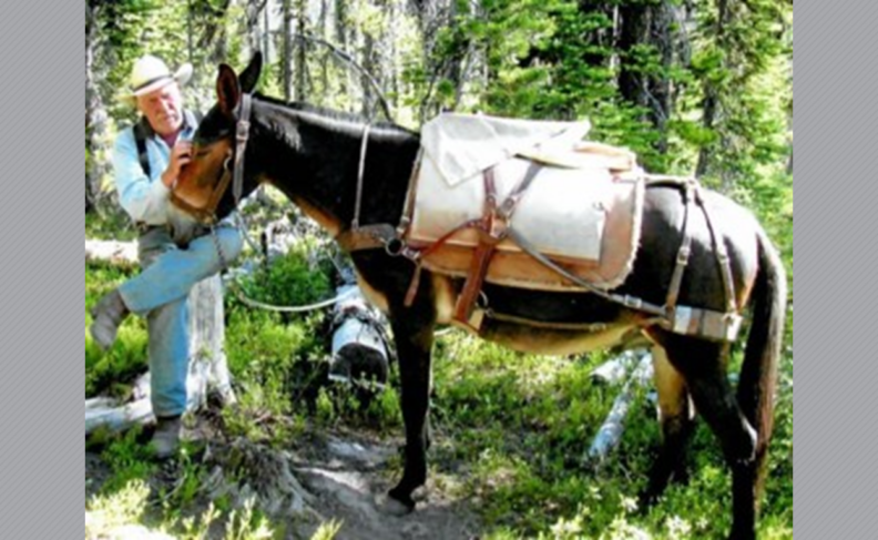 Photo of Allen Wesselius sitting on a stump petting a mule.