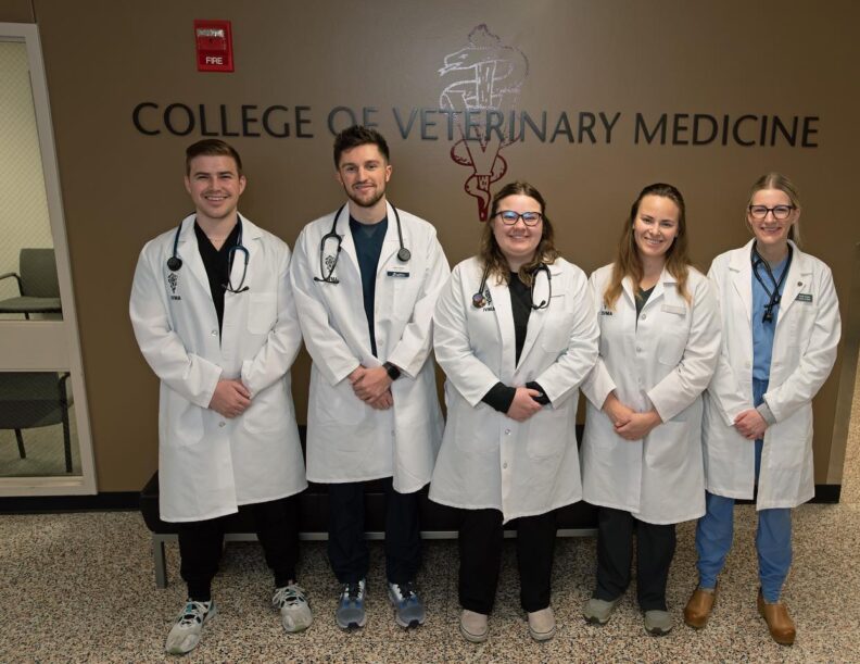 DVM students, Maddy Boehland, Tyler Braithwaite, Annalee Mason, Jacob Olson and Emily Tucker posing together during Diagnostic Challenge week.