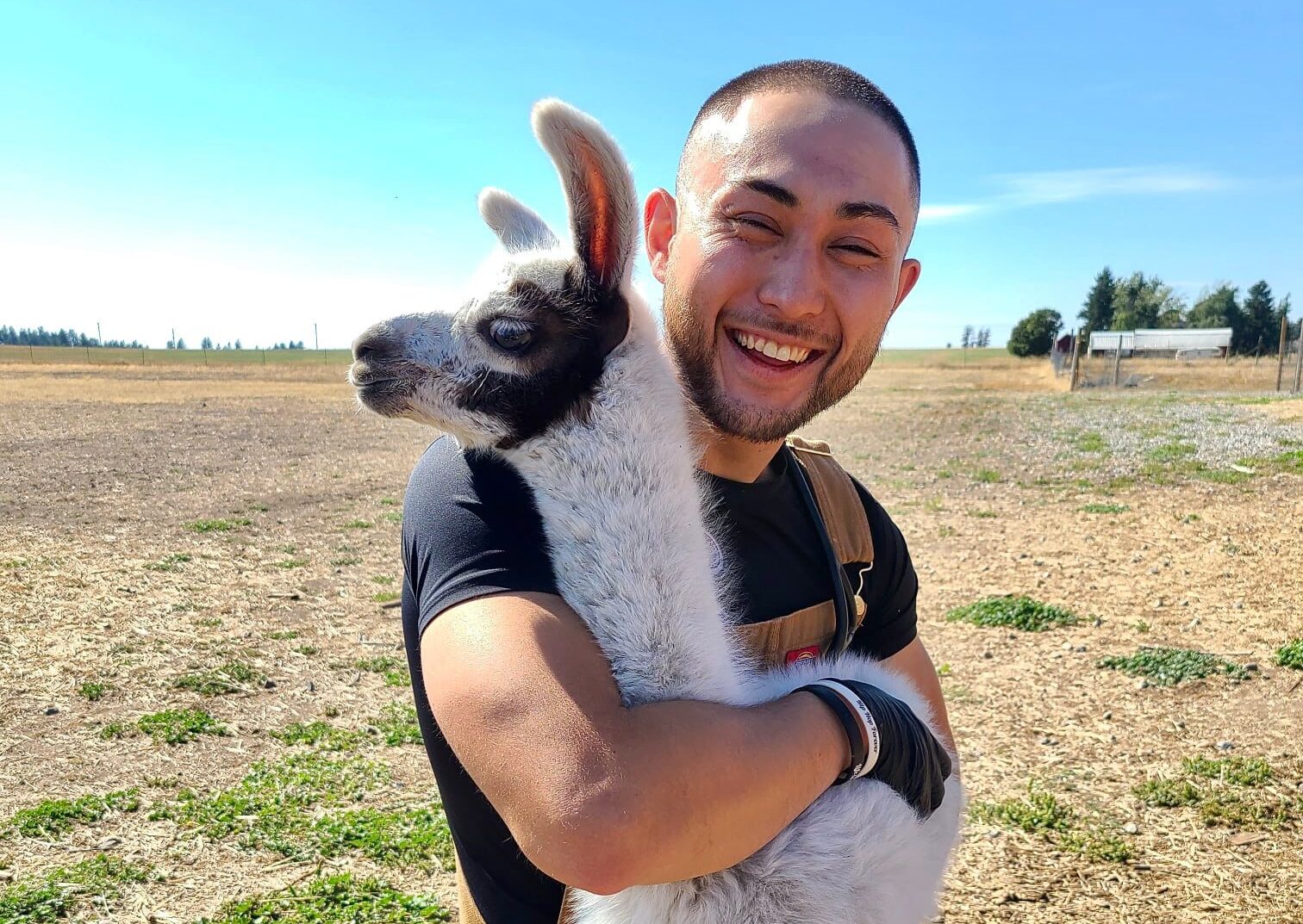 A student holding a small llama.
