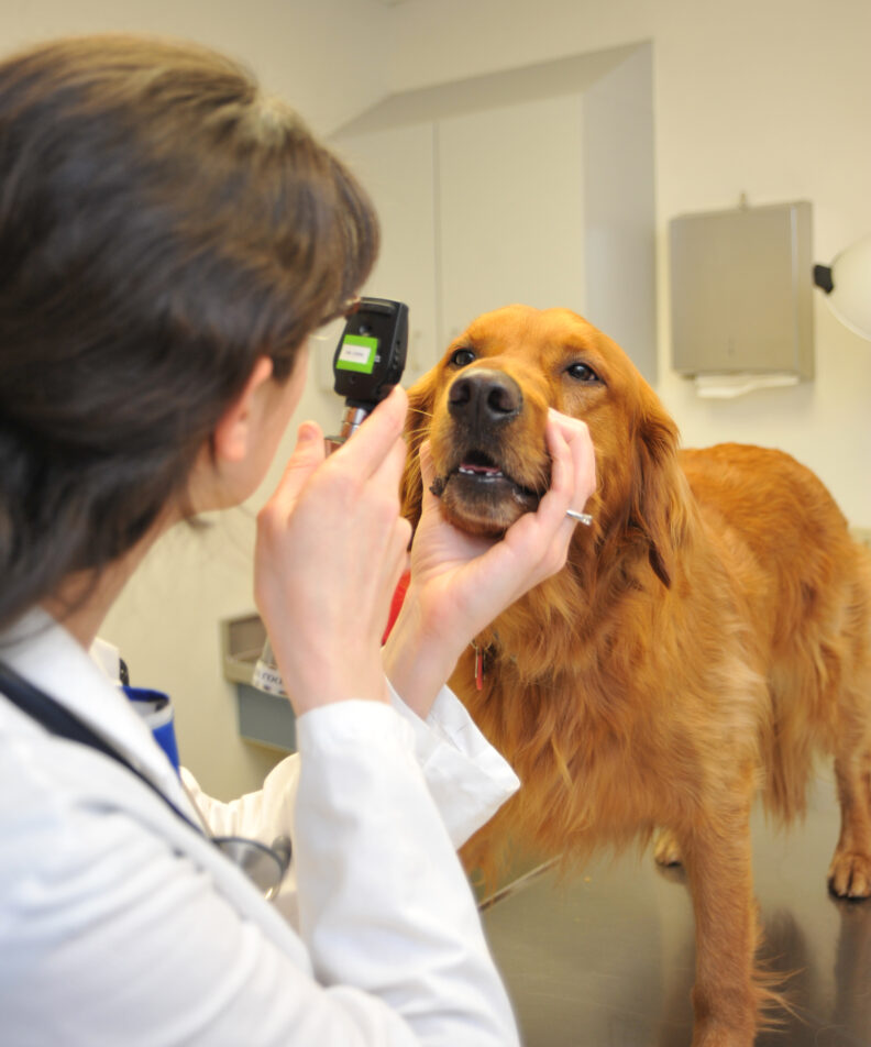 Student sits on floor holding dog