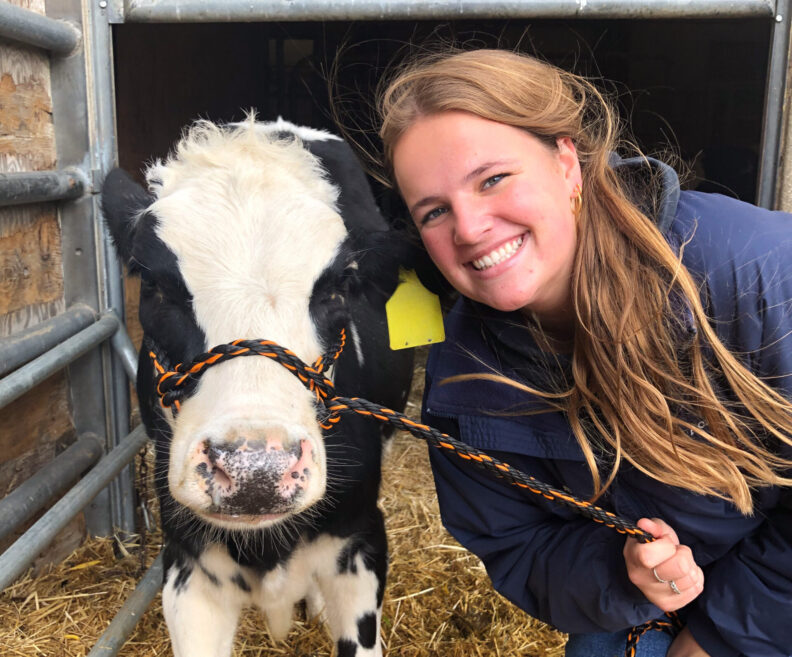 Abby with a black and white cow inside a stable.
