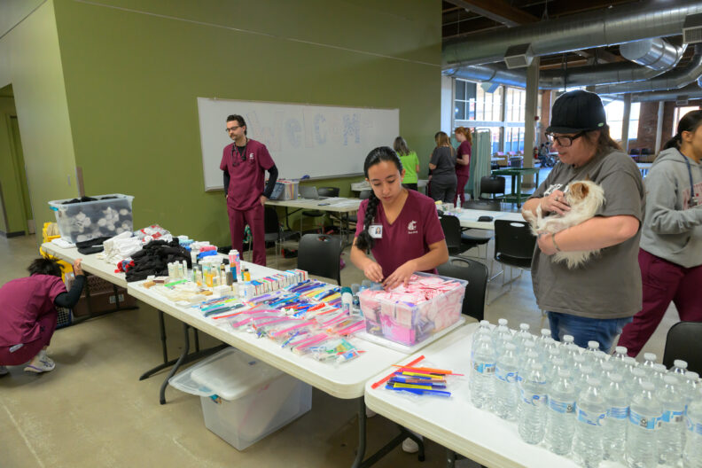DVM and nursing students prepare a table of supplies at the Healthy People + Healthy Pets clinic.