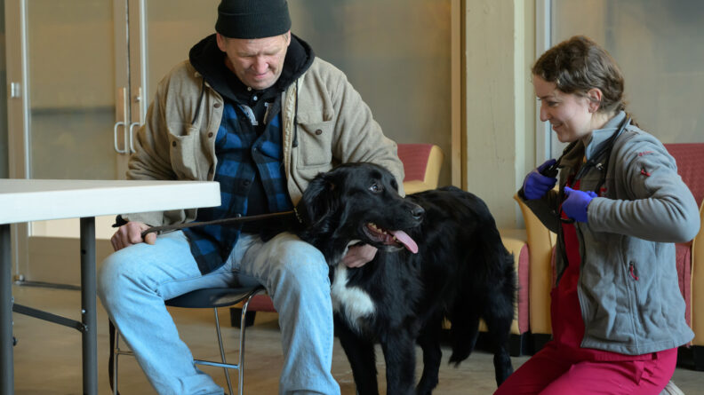 A DVM student prepares to examine a dog. 