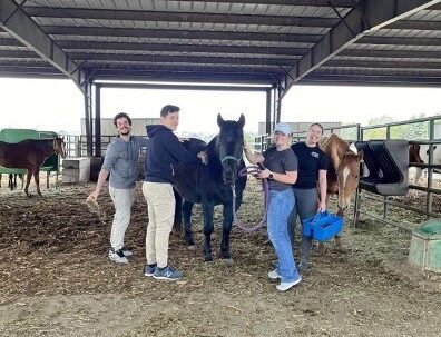 Herd Health members grooming assigned horse