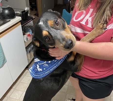 A dog stands with his front paws on his owner