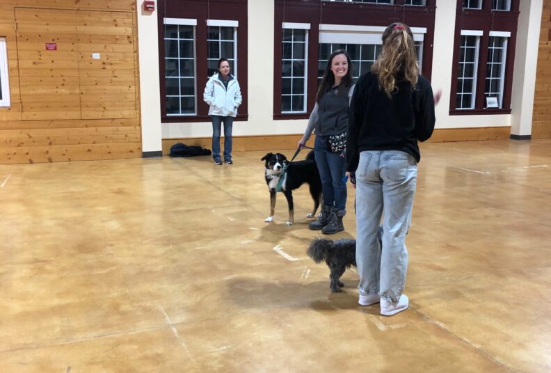 Owners practice a greeting test during a canine good citizen training class