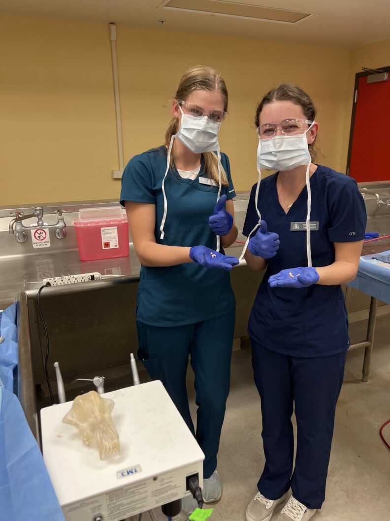 DVM students hold teeth after participating in an extraction dental lab