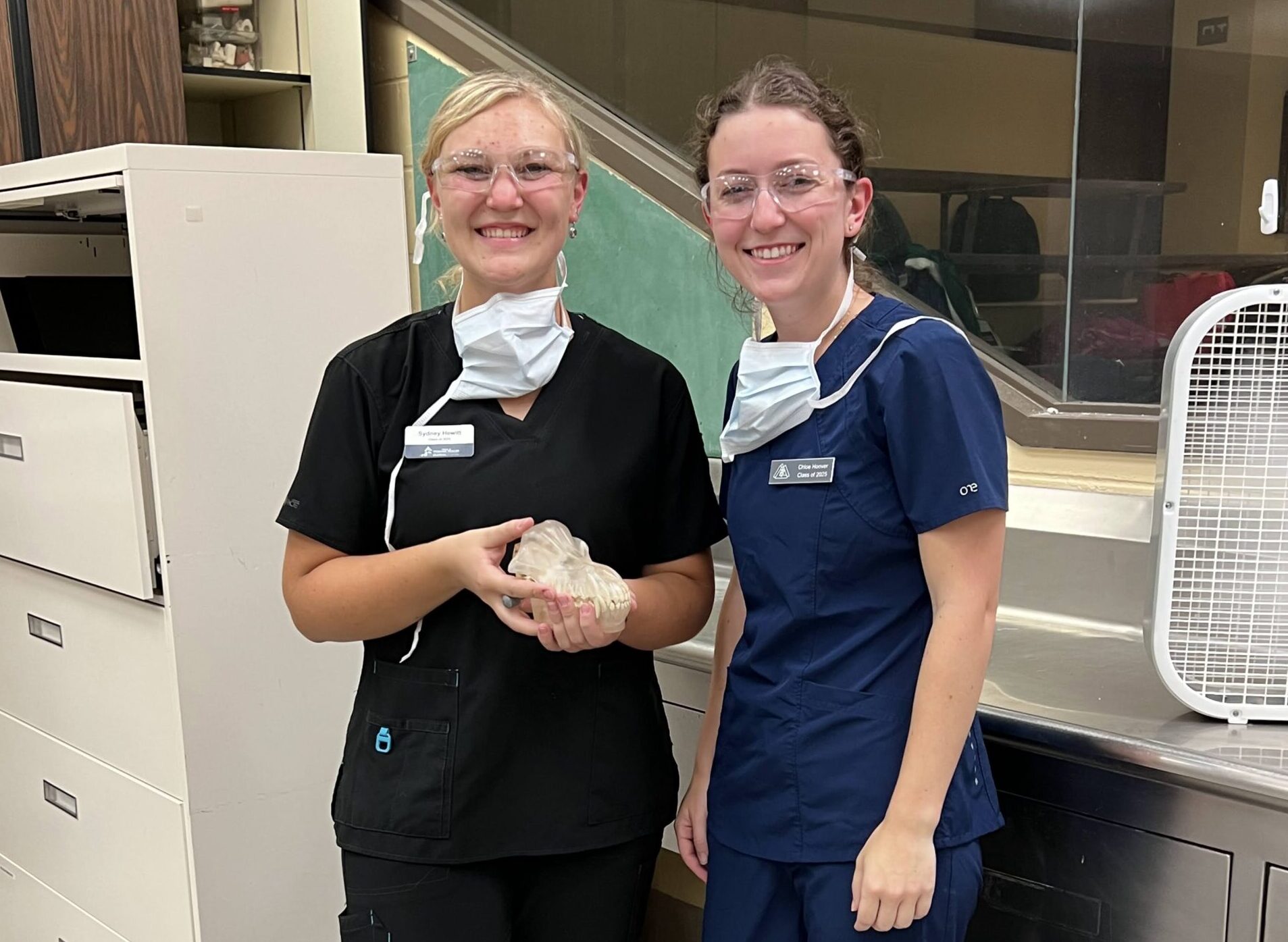 DVM students holds a dental model