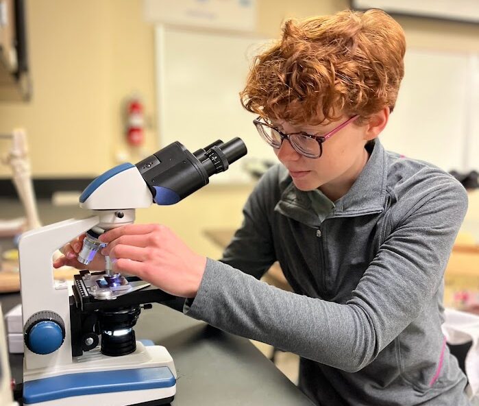 A DVM student looks through a microscope