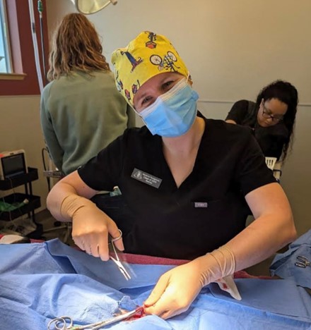 DVM students participating in spay and neuter surgery.