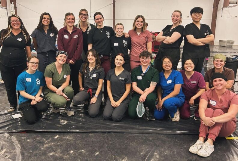 DVM students in the shelter medicine club stand next to each other for a group photo.