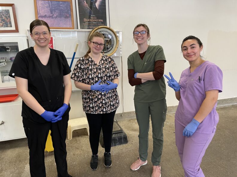 DVM students pose together before an aquatics club wet lab