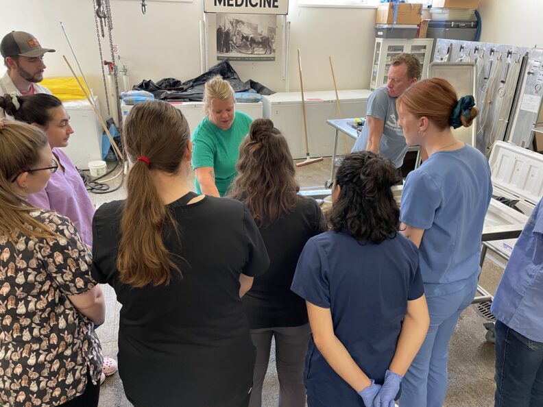 Students observe their instructor during wet lab