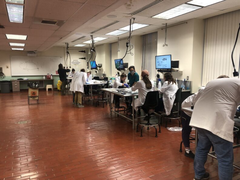 Students working at lab tables