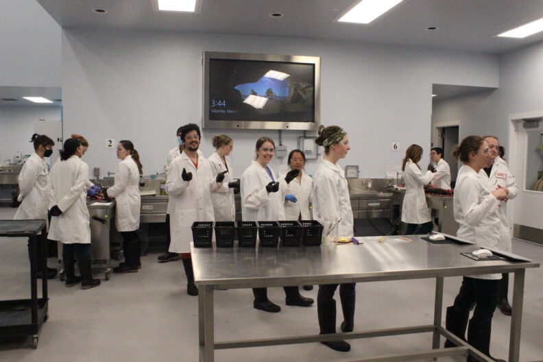 DVM students wearing white coats prep for a lab