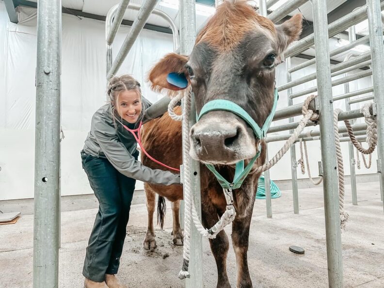 DVM student Brooklynn Balic stands with a cow