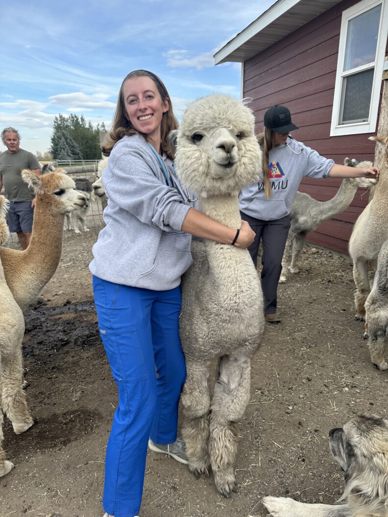 DVM student Brooklynn Balic stands with a cow