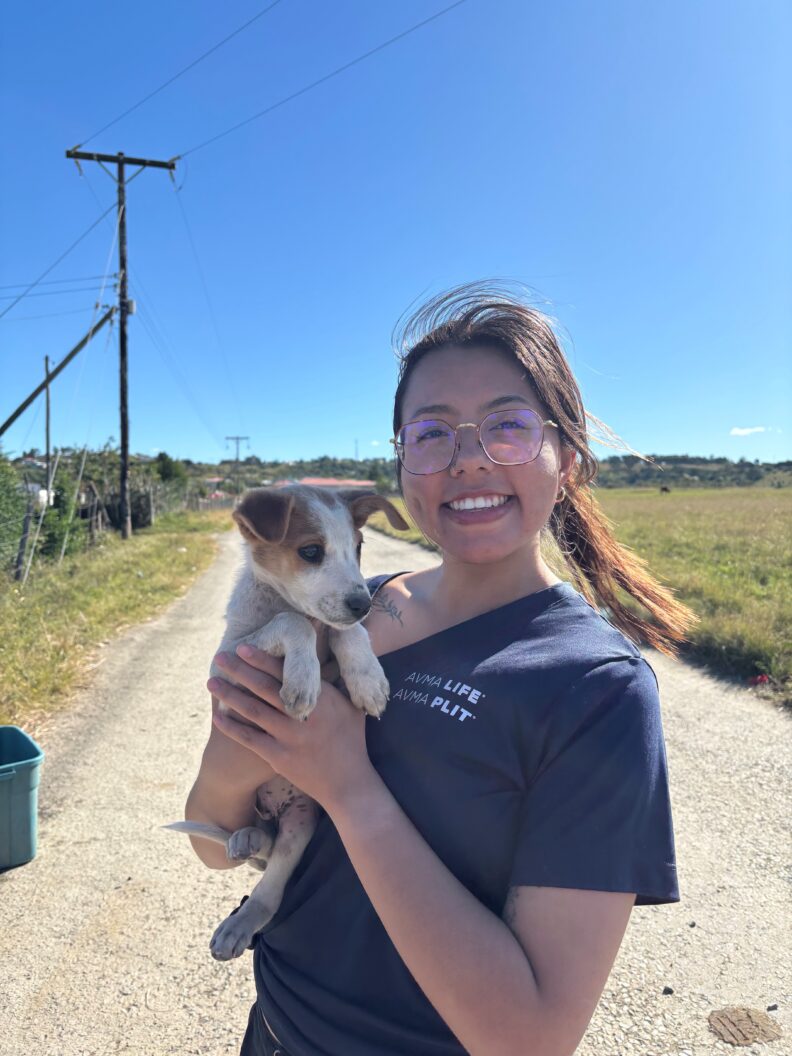 DVM student Brooklynn Balic stands with a cow