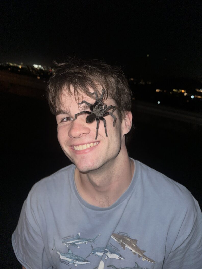 DVM student Brooklynn Balic stands with a cow