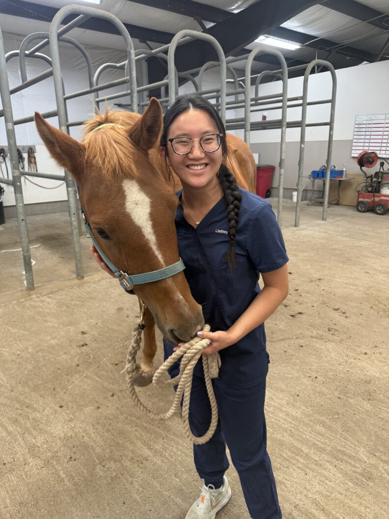 DVM student Brooklynn Balic stands with a cow